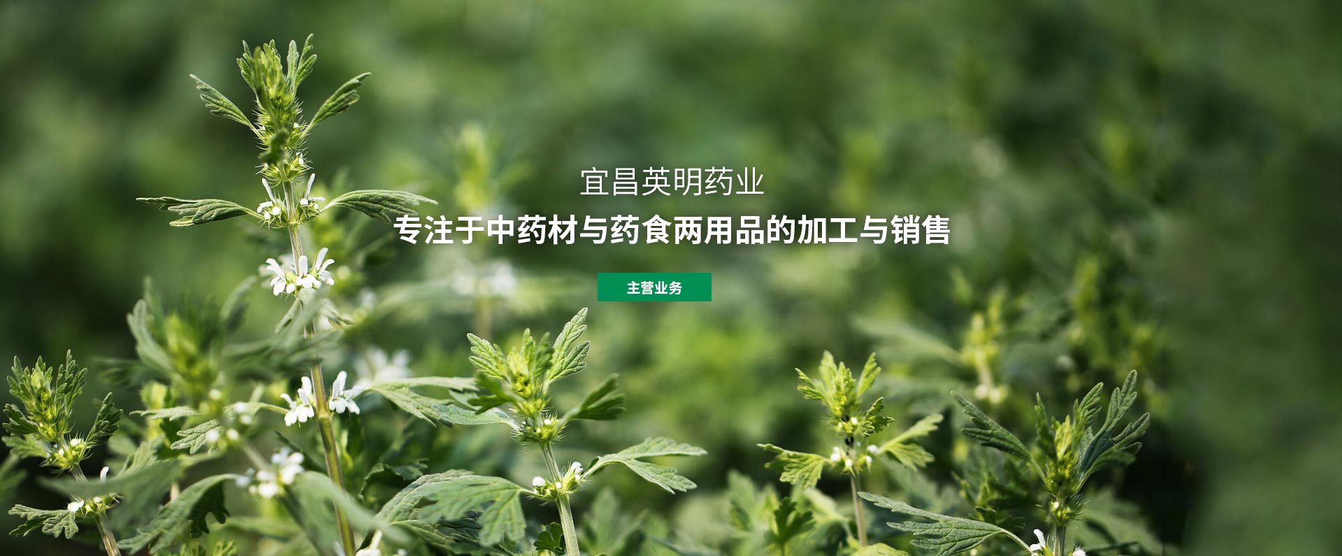 英明藥業(yè)